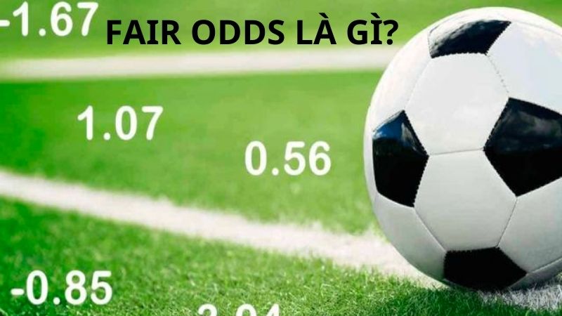 Cách tính fair odds mới nhất dành cho anh em tân thủ 1 Fair odds là gì?