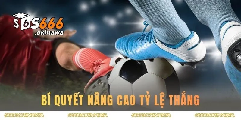 Bí quyết nâng cao tỷ lệ thắng khi tham gia cá cược